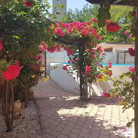 Guest house Pensiunea Dunavis 3*