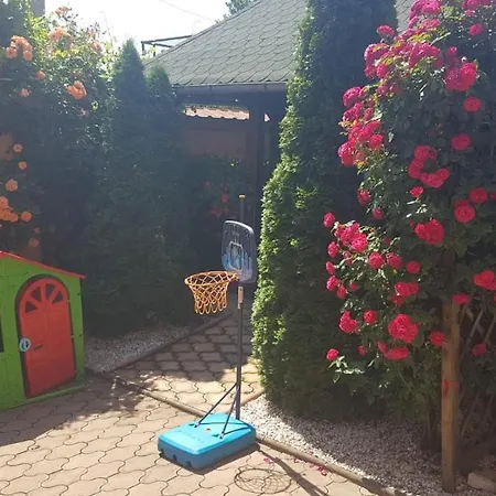 Pensiunea Dunavis Guest house 3*