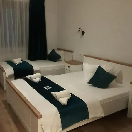 Pensiunea Dunavis Guest house Orsova