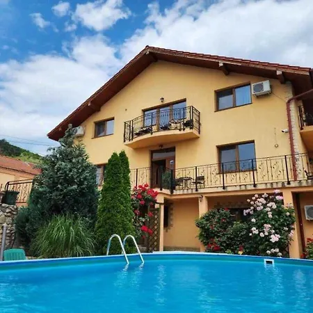 Pensiunea Dunavis Guest house 3*