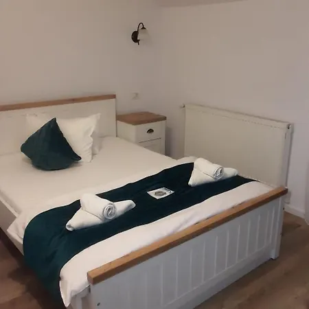 Pensiunea Dunavis Guest house Orsova