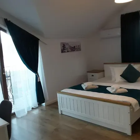 Pensiunea Dunavis Guest house 3*