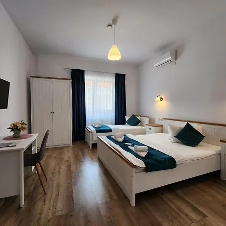 Pensiunea Dunavis Guest house 3*