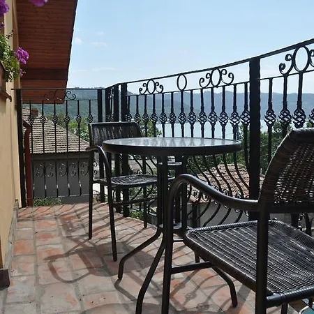 Pensiunea Dunavis Guest house