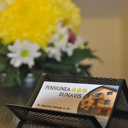 Pensiunea Dunavis Orsova