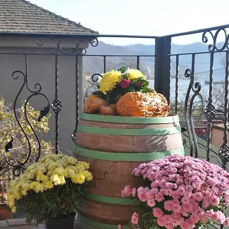 Guest house Pensiunea Dunavis Orsova