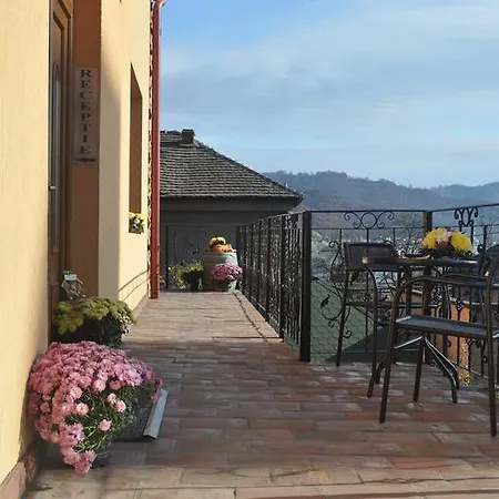 Guest house Pensiunea Dunavis