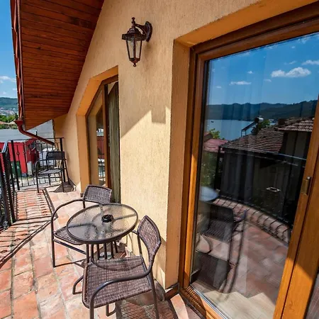 Pensiunea Dunavis Guest house
