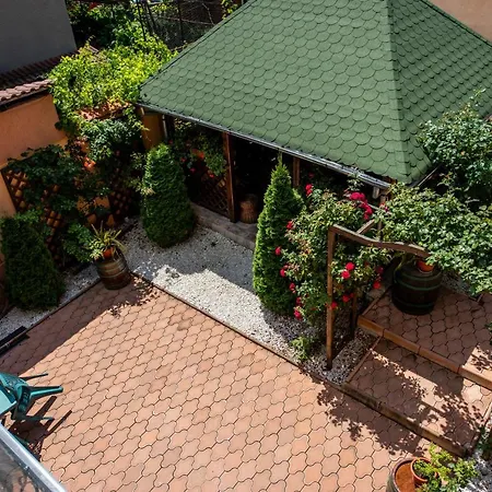 Pensiunea Dunavis Guest house 3*
